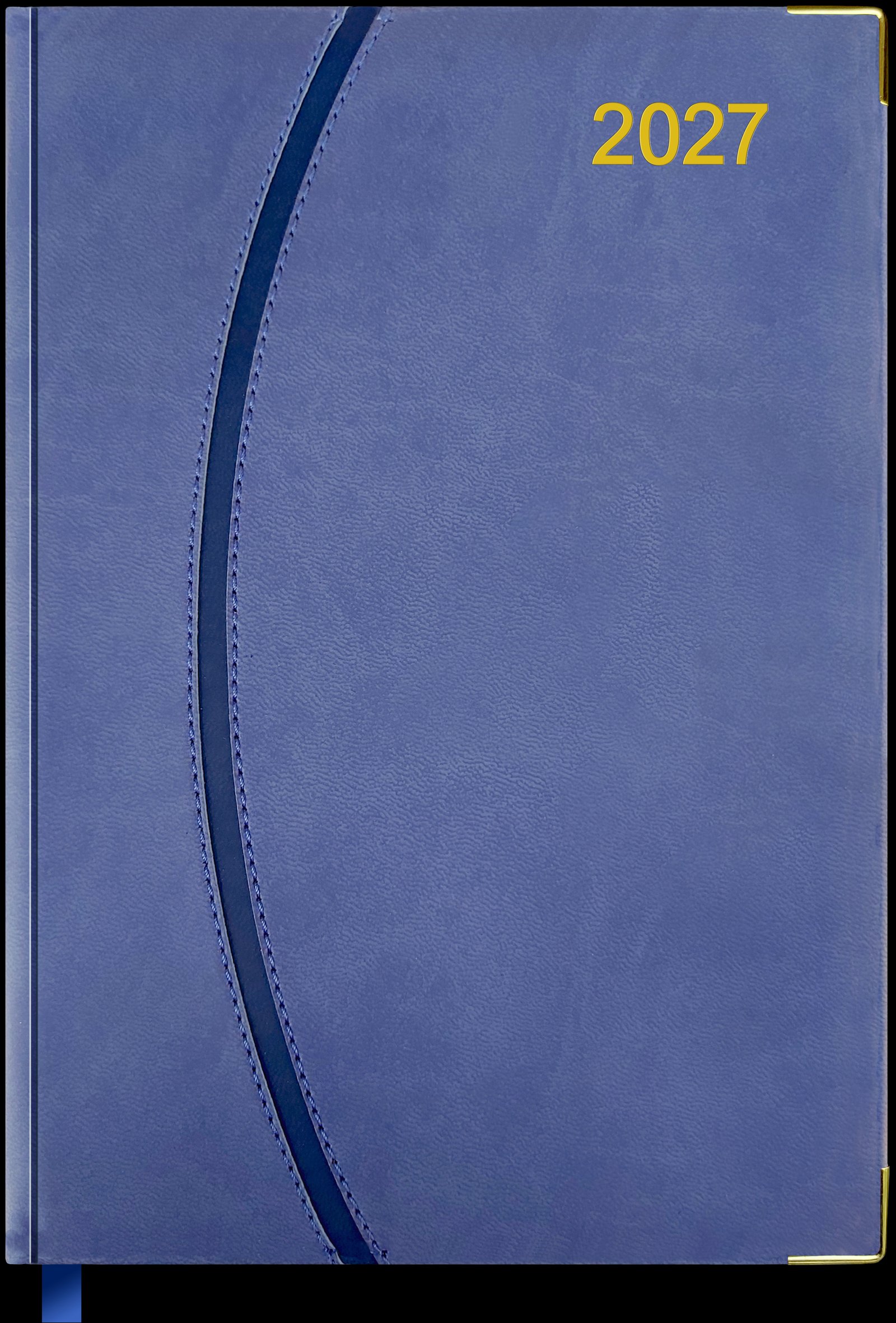 Curve-03 without Loop